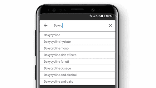 Search Funtionality