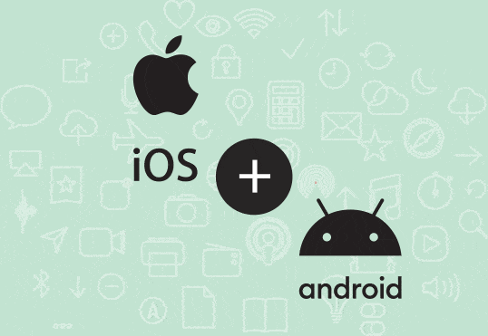 Chapter 3: Native or Cross-Platform App