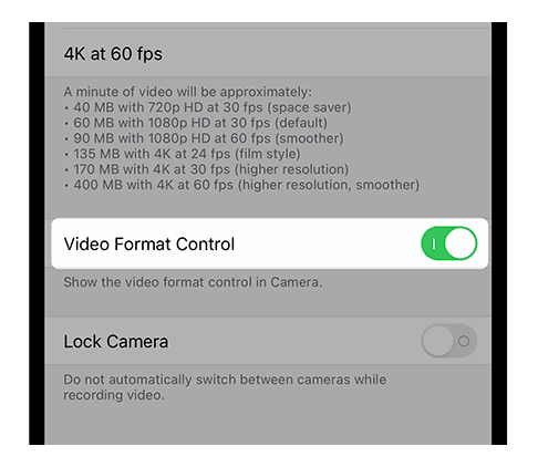Video Format Controls