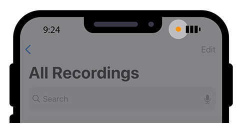 Recording Indicator