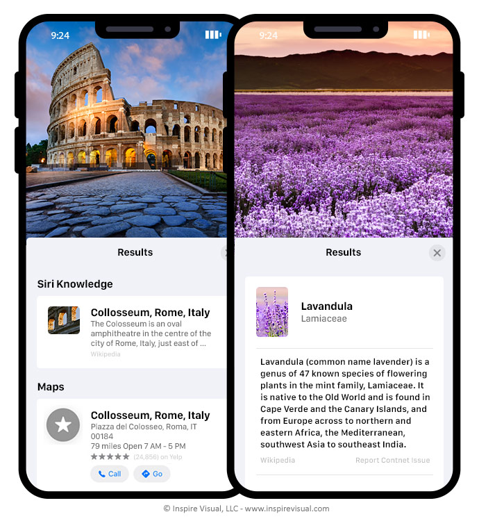 Visual Look Up in iOS 15